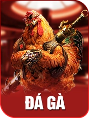 đá gà xoso66