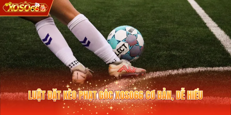 Luật đặt kèo phạt góc XOSO66 cơ bản, dễ hiểu