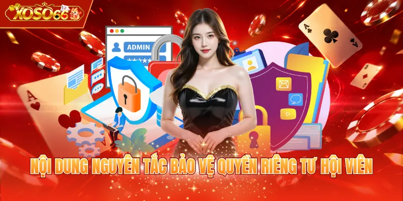 Nội dung nguyên tắc bảo vệ quyền riêng tư hội viên